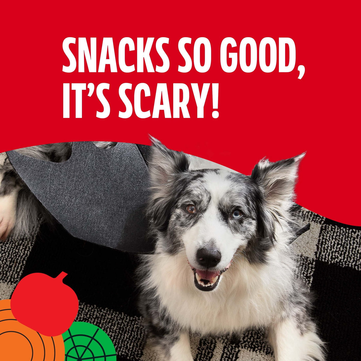 Milk Bone MaroSnacks Halloween Dog Treats, 25 oz Canister