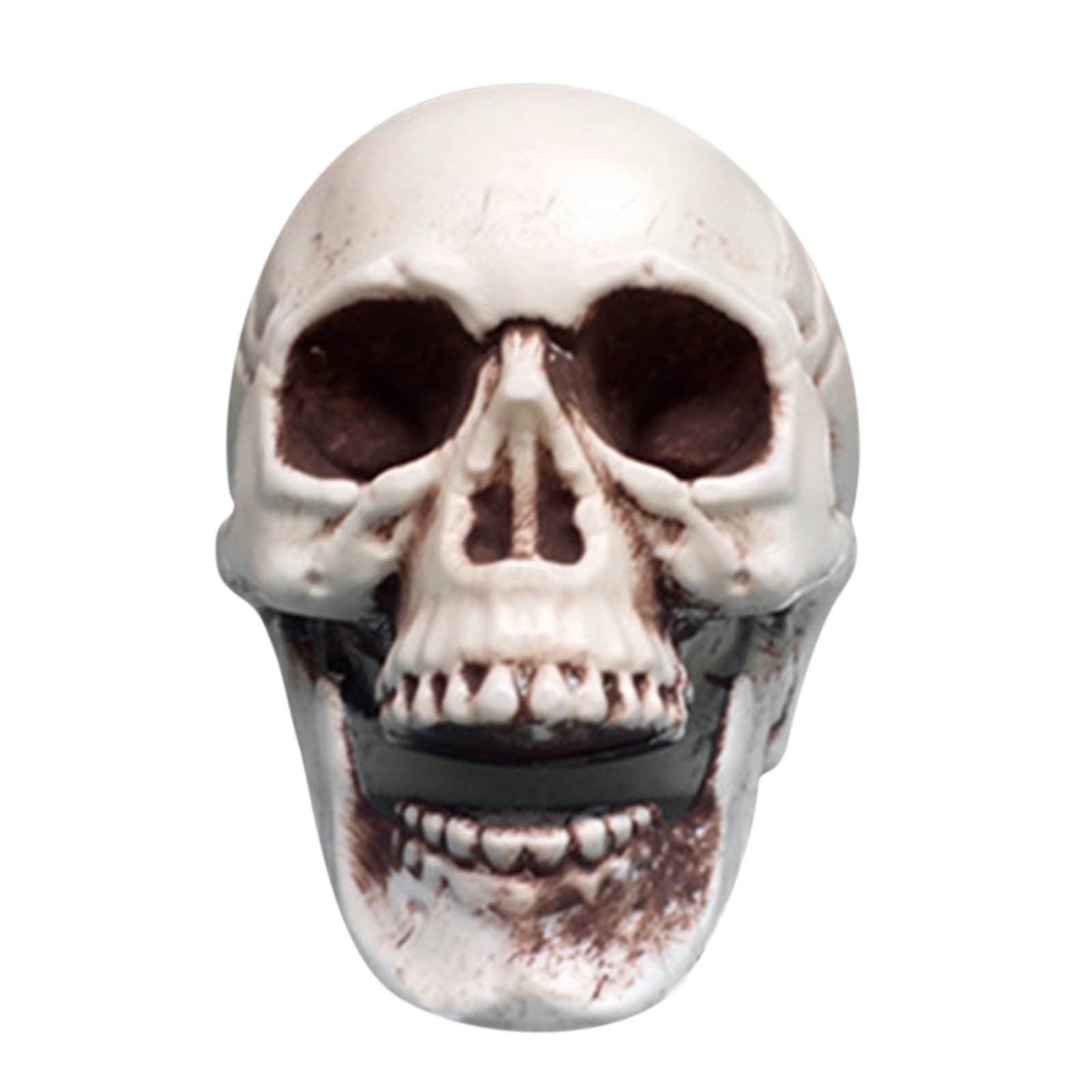 Darzheoy Halloween Skull Model Realistic Fake Simulation Human Skull Head Model Halloween Prop Realistic Mini Skeleton Spooky Halloween Decoration