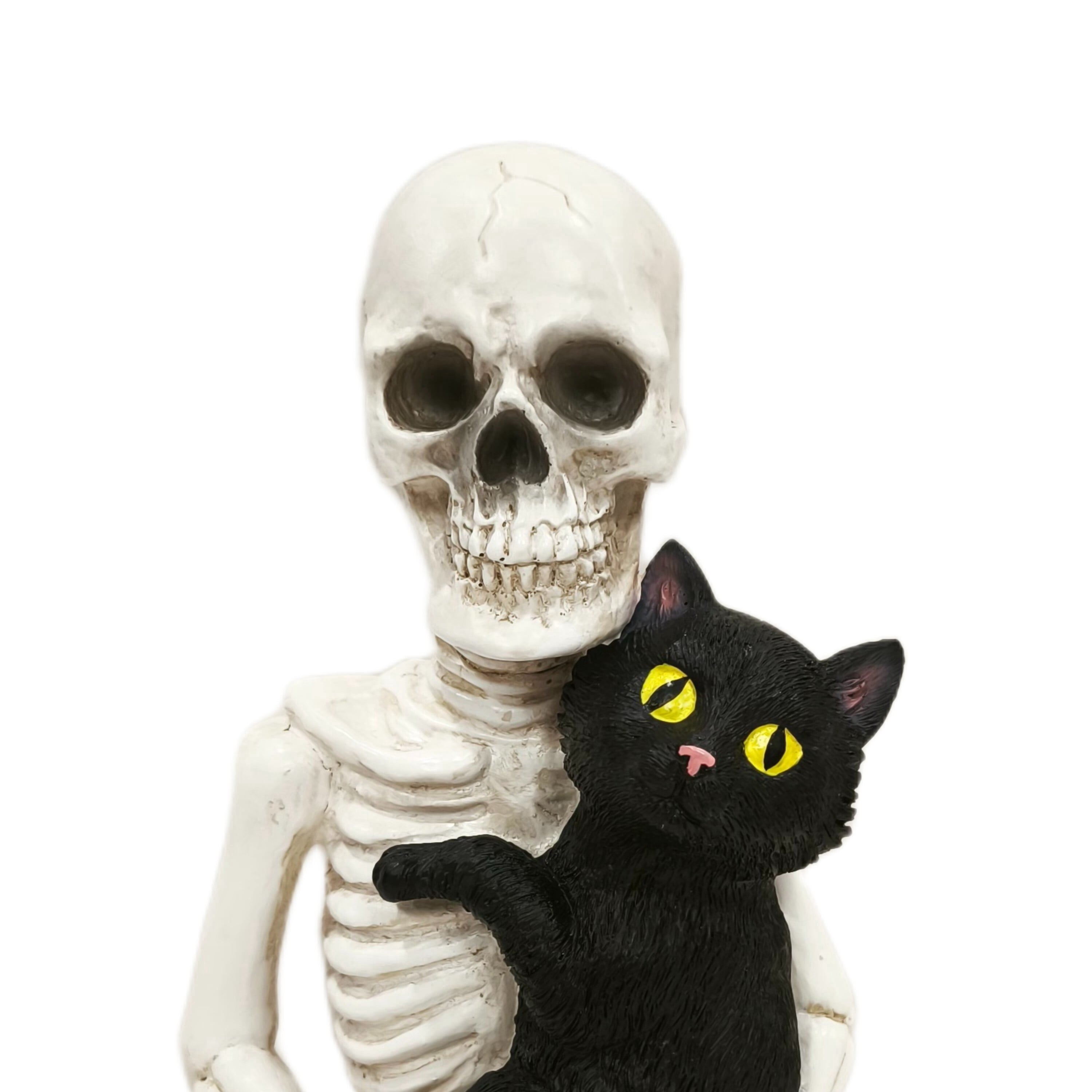 Skeleton and Cat Decoration, Black and White, 7", Halloween by Way To Celebrate