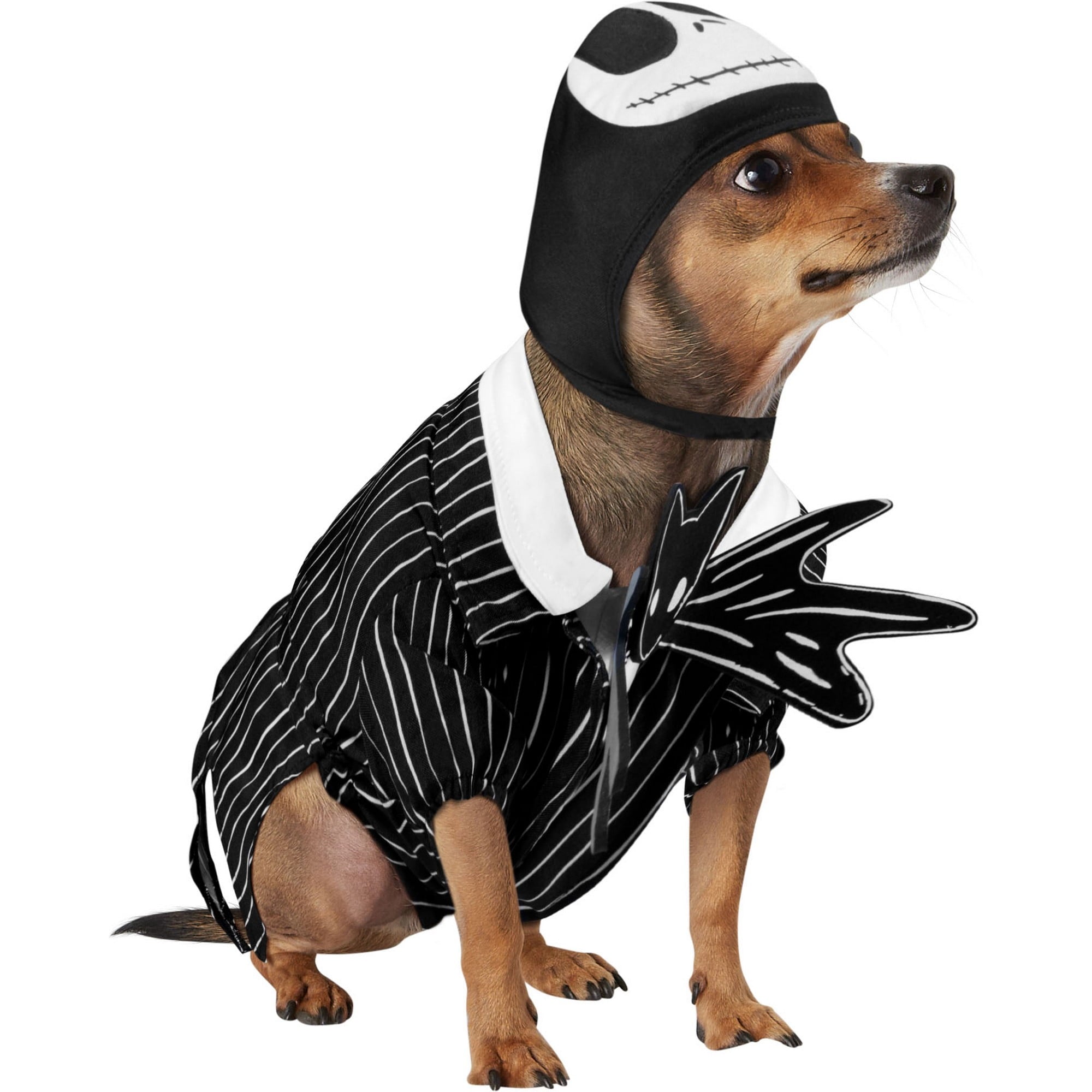 Disney The Nightmare Before Christmas Jack Skellington Pet Costume for Dogs or Cats by Rubies, Small