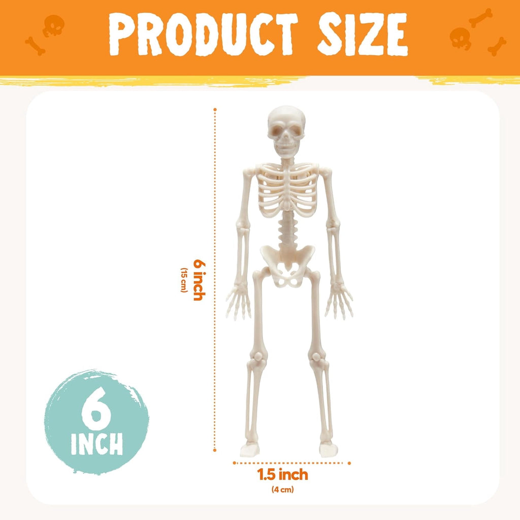 Joyfy 5 Pcs Halloween Skeleton Decorations,16 inch Full Body Poseable Skeleton with Movable Joints for Halloween Indoor Outdoor Party,Graveyard,Haunted House Accessories,White