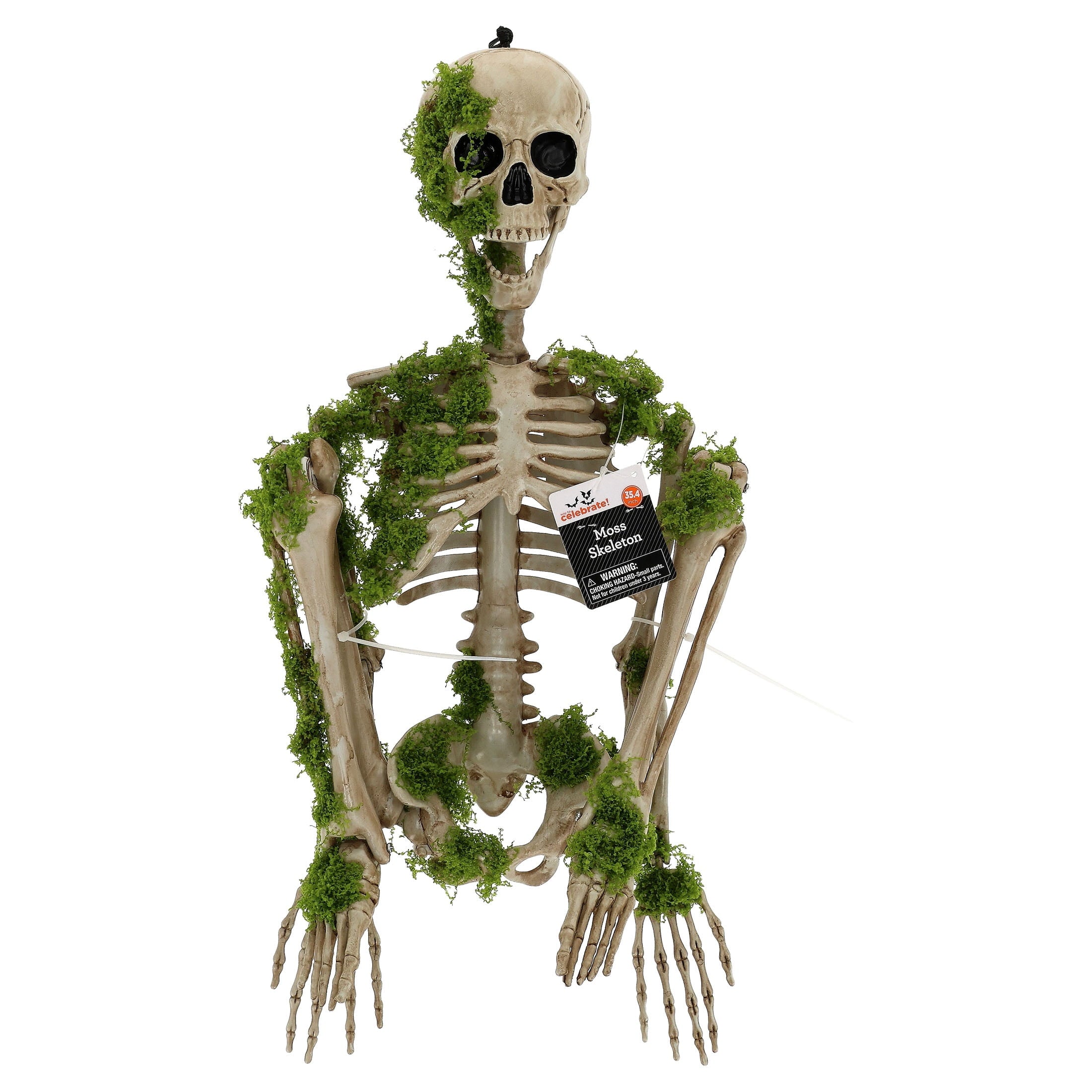 Moss Skeleton Decoration, Multicolor, 35.4", Halloween by Way To Celebrate