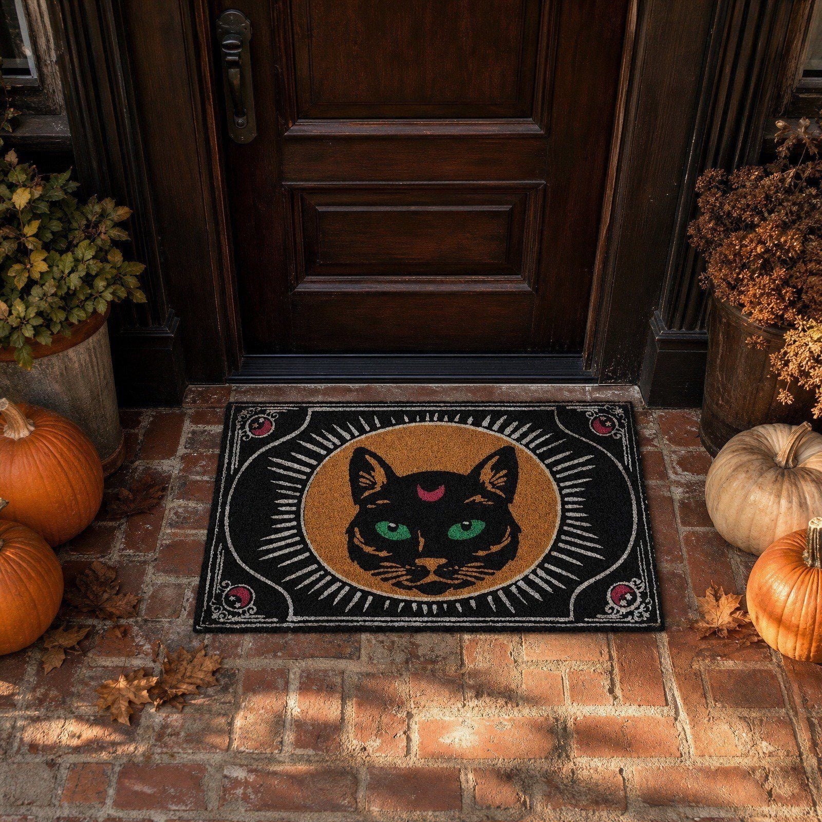 Tepsmf Halloween Doormat 19.7x31.4IN Soft Non Slip Halloween Bathroom Rug For Front Doors Porches And Witch-themed Home Decor