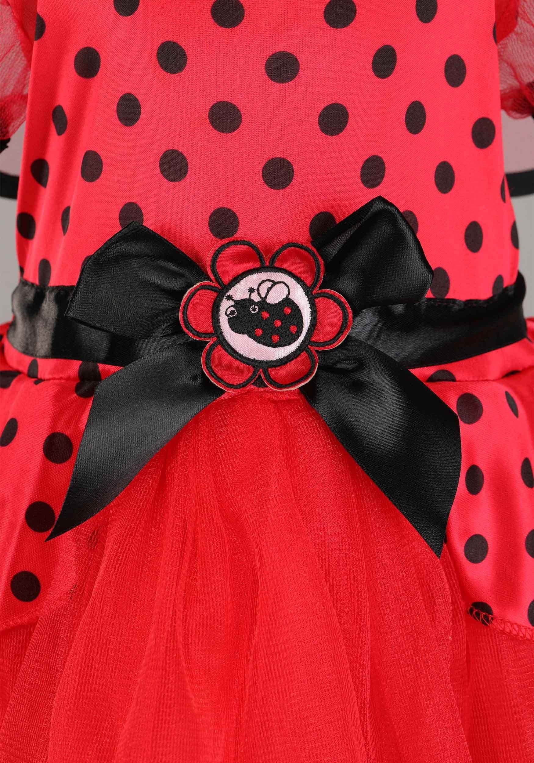 Infant Little Ladybug Costume